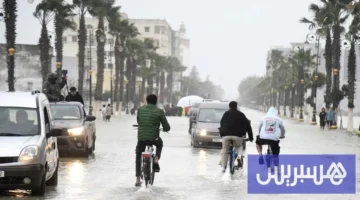 حالة الطقس في المغرب اليوم السبت وفق توقعات المديرية العامة للأرصاد الجوية